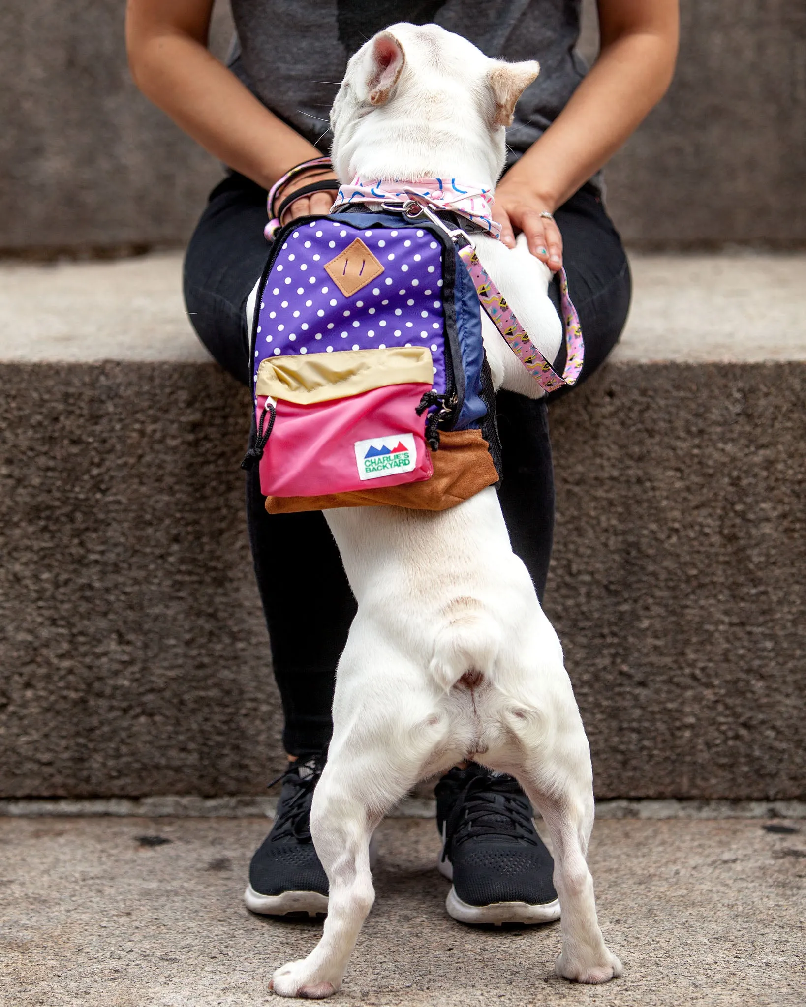 Charlie's Bag Backpack in Violet